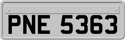 PNE5363