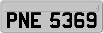 PNE5369