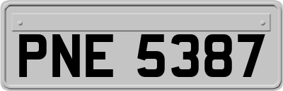 PNE5387