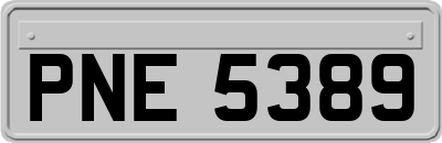 PNE5389