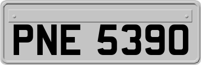 PNE5390