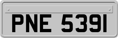 PNE5391