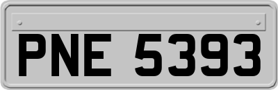 PNE5393