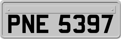 PNE5397