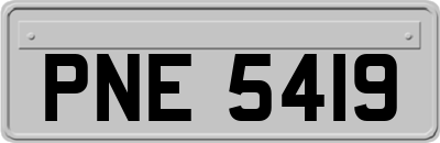 PNE5419