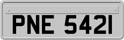 PNE5421