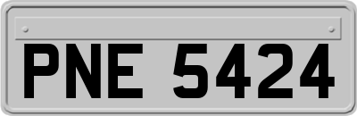 PNE5424