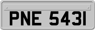 PNE5431