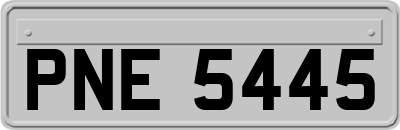 PNE5445