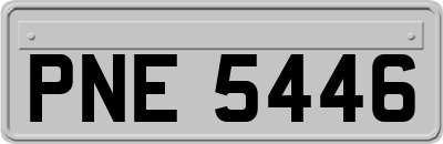 PNE5446