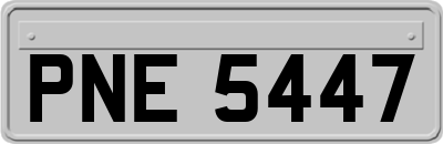 PNE5447