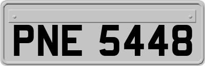 PNE5448