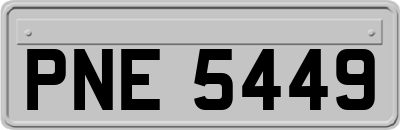 PNE5449