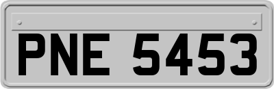 PNE5453