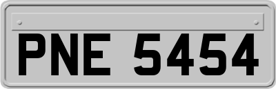 PNE5454