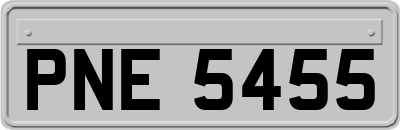 PNE5455