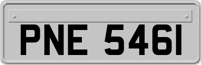 PNE5461