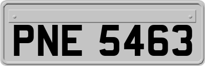 PNE5463