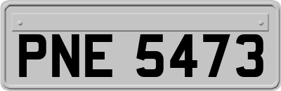 PNE5473