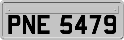 PNE5479
