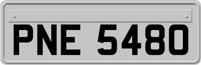 PNE5480