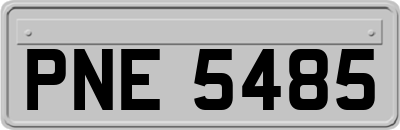 PNE5485