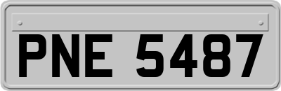 PNE5487