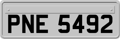 PNE5492