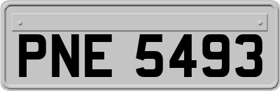 PNE5493