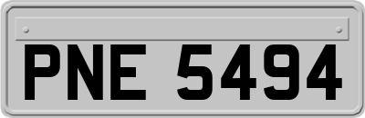 PNE5494