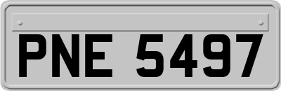PNE5497