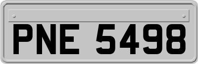 PNE5498