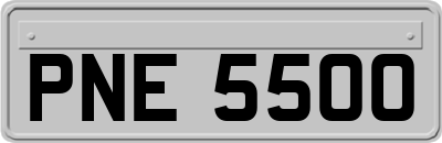 PNE5500