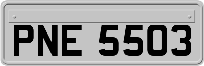 PNE5503