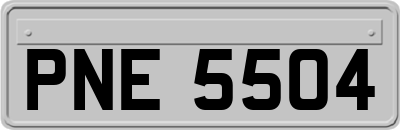 PNE5504