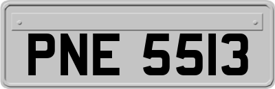 PNE5513