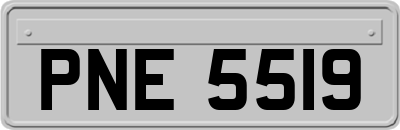PNE5519