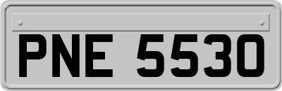 PNE5530