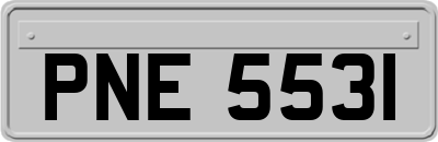 PNE5531