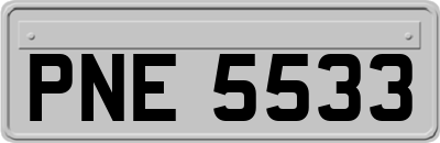 PNE5533