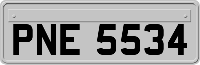 PNE5534