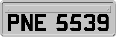 PNE5539