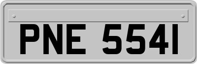 PNE5541