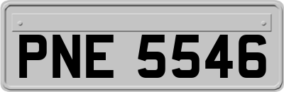 PNE5546