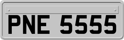 PNE5555