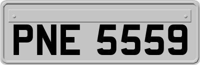 PNE5559