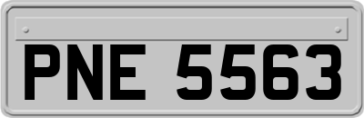 PNE5563
