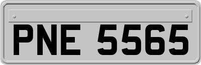 PNE5565