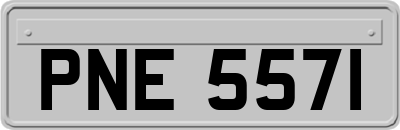 PNE5571