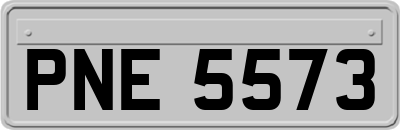 PNE5573